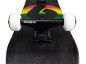 Preview: Skateboard Birdhouse Complete Stage 3 Sunest Rasta 7.75"