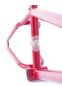 Preview: Frame Cult Hawk IC4