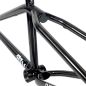 Preview: Frame S&M REA Levenson Signature