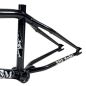 Preview: Frame S&M REA Levenson Signature