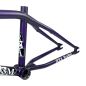 Preview: Frame S&M REA Levenson Signature