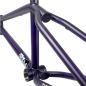 Preview: Frame S&M REA Levenson Signature