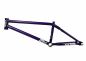 Preview: Frame S&M REA Levenson Signature