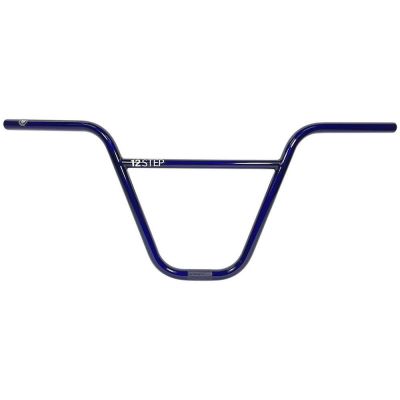 Bar S&M 12 Step