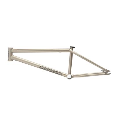 Frame United AYS