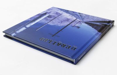 BMX Buch + DVD Maintain IV.V Derailed