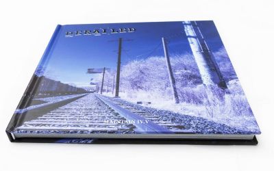 BMX Buch + DVD Maintain IV.V Derailed