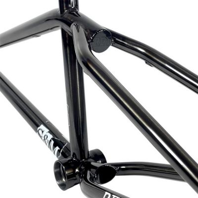 Frame S&M REA Levenson Signature