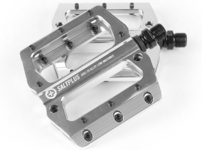 Pedals SaltPlus Echo Alloy