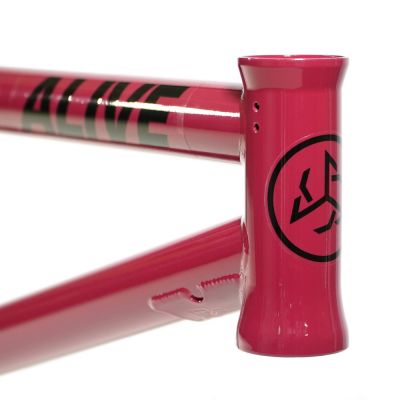 Rahmen Alive Industry F.T.W