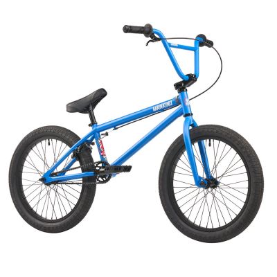 BMX-Bike Mankind Planet 2022
