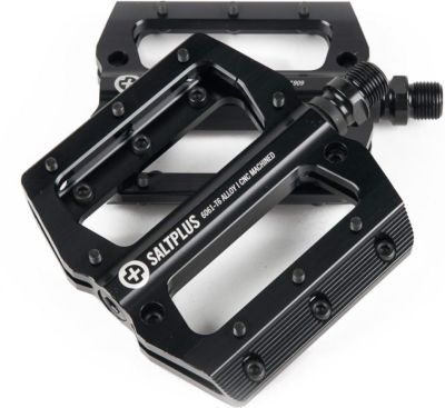 Pedals SaltPlus Echo Alloy