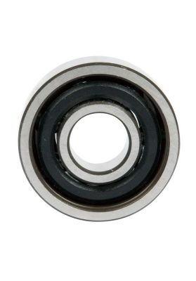 Skateboard bearings Bones Swiss 7 balls