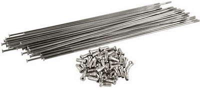 Spokes Tree Twigs & Berries Double Butted