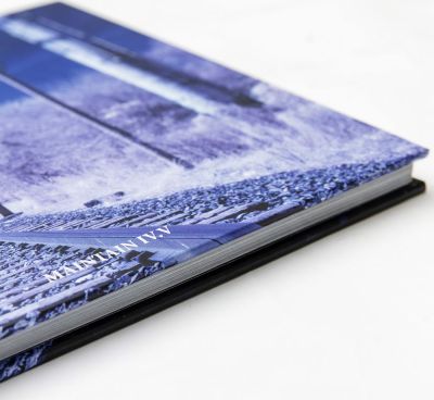 BMX Buch + DVD Maintain IV.V Derailed