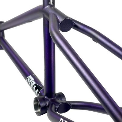 Frame S&M REA Levenson Signature