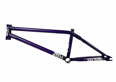Frame S&M REA Levenson Signature